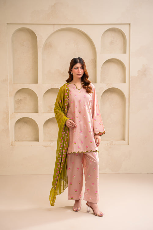 Liyana embroidered lawn suit by Noorsaba, photo 1 of 8
