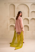 Liyana embroidered lawn suit by Noorsaba, photo 6 of 8